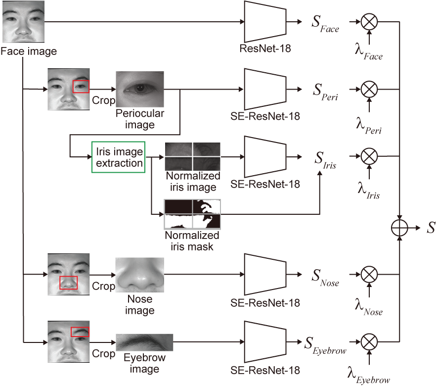 Overview of the proposed multibiometrics approach