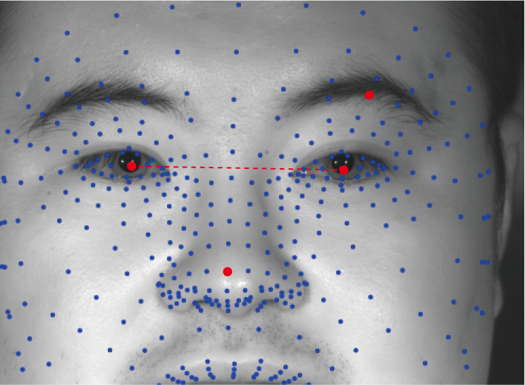 Keypoints extracted using Mediapipe FaceMesh