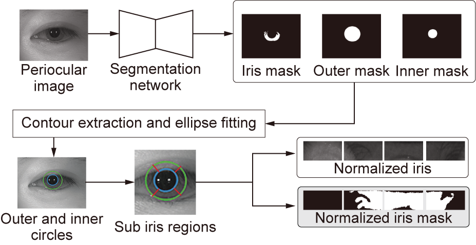 Flow of iris extraction from a periocular image