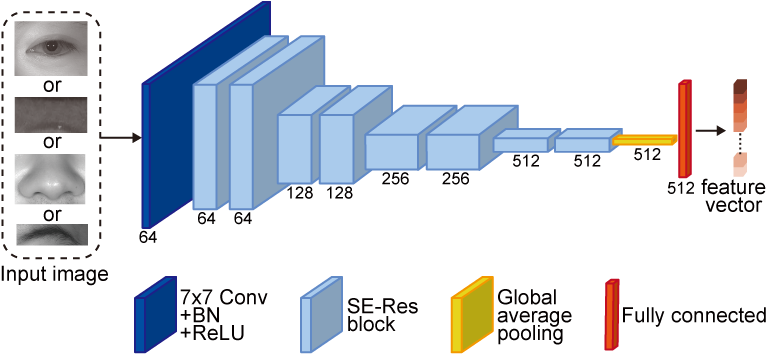 Network architecture of SE-ResNet-18