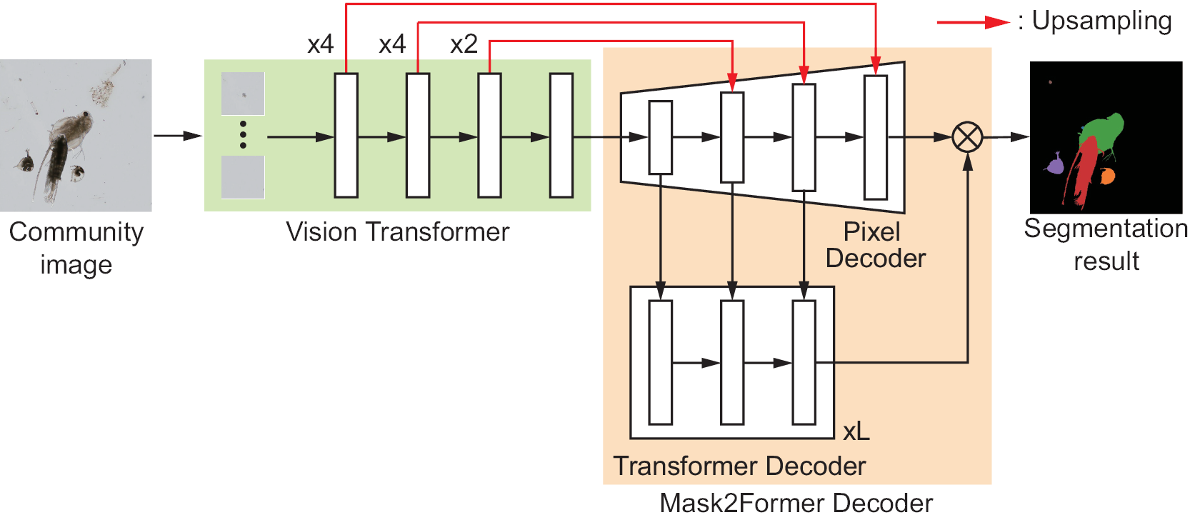 Overview of PlankFormer